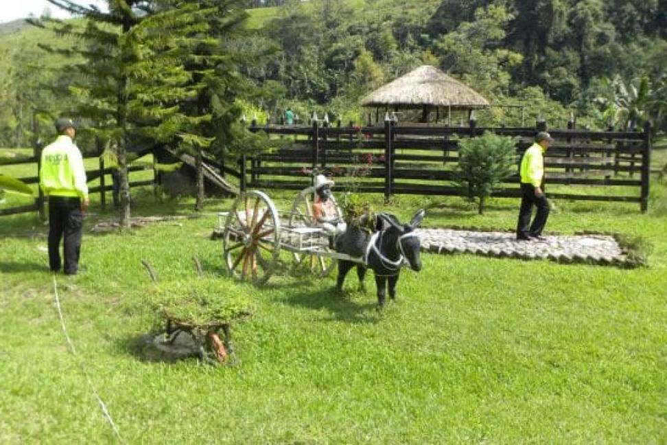 Policia en el campo